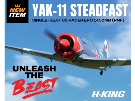 Yakovlev Yak-11: A Legacy of Power and Performance
