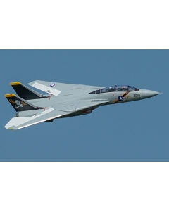 XFLY F-14 Twin 40mm EDF PNP RC plane