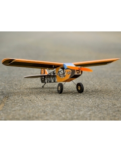 Dancing Wings Hobby (ARF) Savage Bobber Sport Airplane w/Motor, ESC, Prop & Servos EPP 600mm 