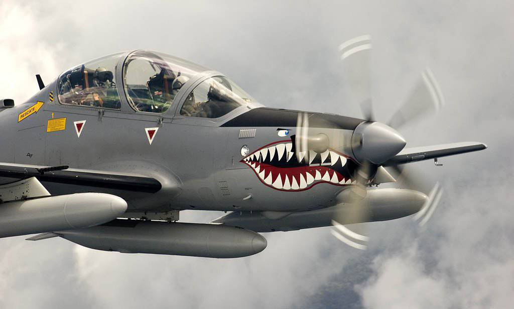 Yakovlev Yak-11: A Legacy of Power and Performance