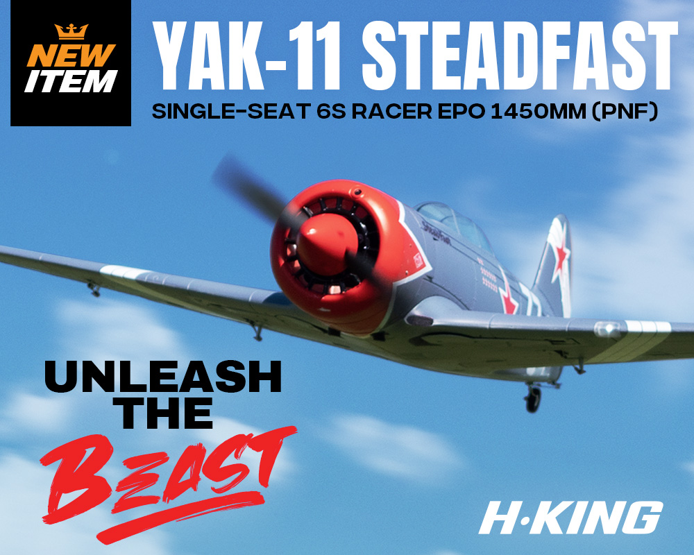 Yakovlev Yak-11: A Legacy of Power and Performance